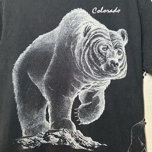 MSP T-Shirt Glacier‎ National Park Bear Vintage (90s) Large- Made in USA
